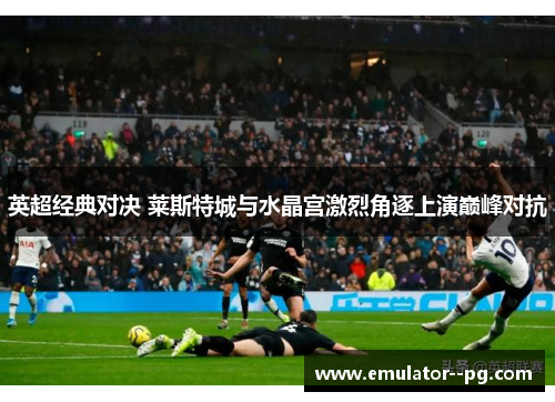 英超经典对决 莱斯特城与水晶宫激烈角逐上演巅峰对抗 英超经典对决 莱斯特城与水晶宫激烈角逐上演巅峰对抗