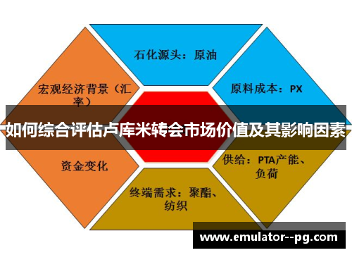 如何综合评估卢库米转会市场价值及其影响因素