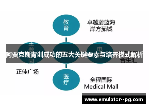 阿贾克斯青训成功的五大关键要素与培养模式解析