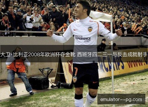 大卫·比利亚2008年欧洲杯夺金靴 西班牙四二三一与反击成就射手